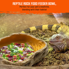 Load image into Gallery viewer, Reptile Water and Food Bowl (Small/Medium/Large)
