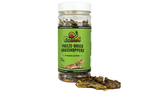Freshinsects Freeze Dried Grasshoppers 1.0 oz