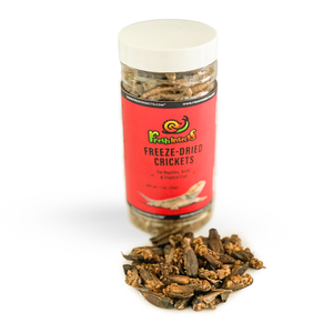 Freshinsects Freeze-Dried River Crickets 1.0 oz