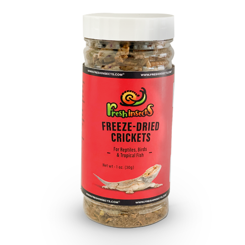 Freshinsects Freeze-Dried River Crickets 1.0 oz